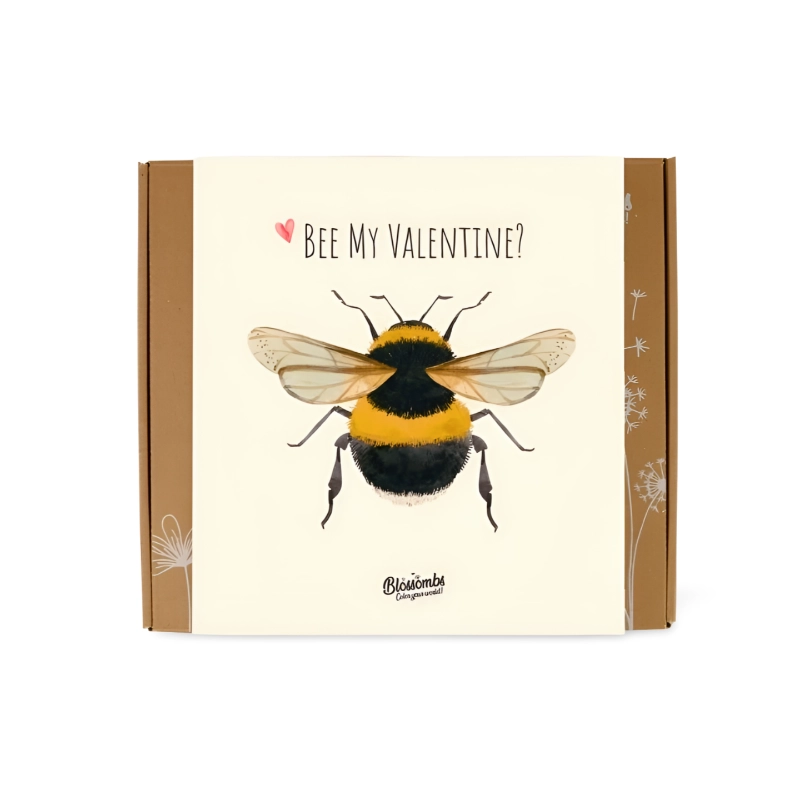COFFRET 9 BOMBES À FLEURS SAUVAGES - VALENTINE BEE