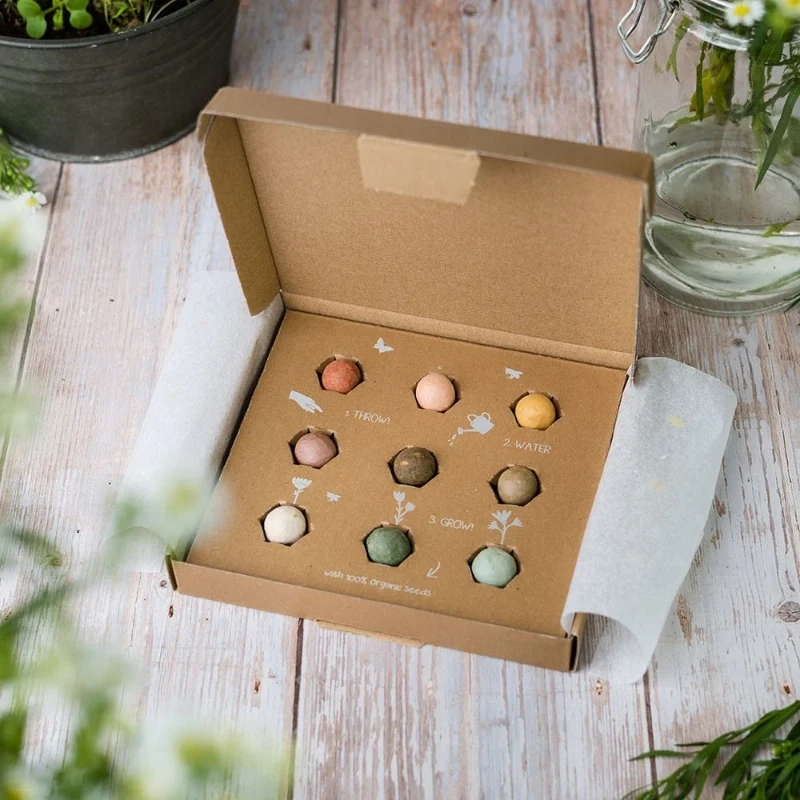 COFFRET 9 BOMBES À FLEURS SAUVAGES - VALENTINE BEE – Image 2