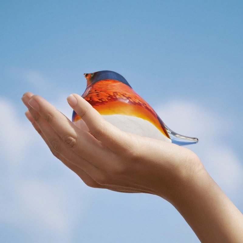 atlas bird orange octaevo 2