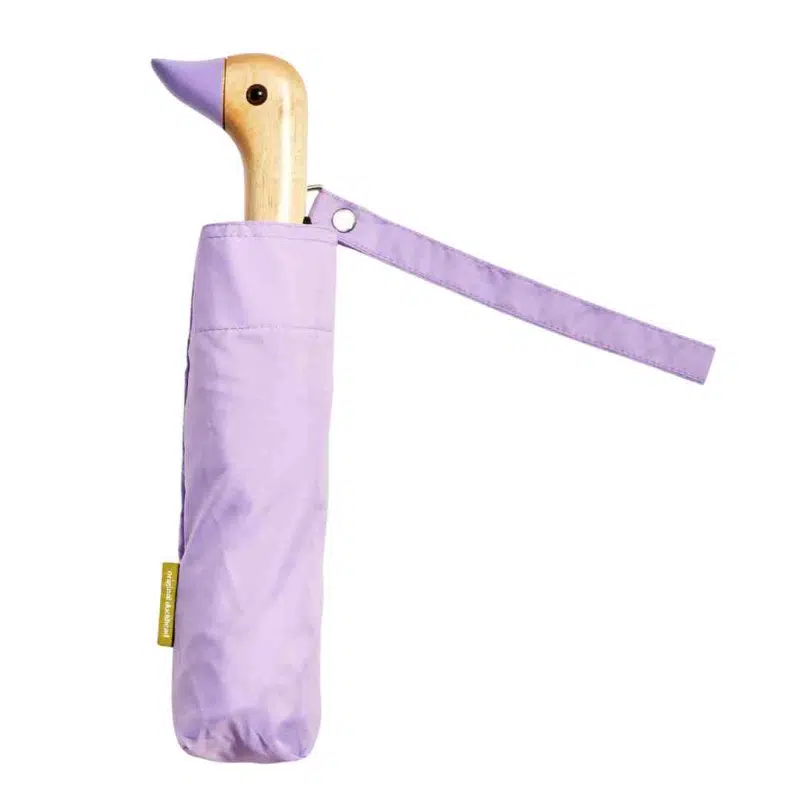 parapluie original duckhead lilas maison volumes lille 2