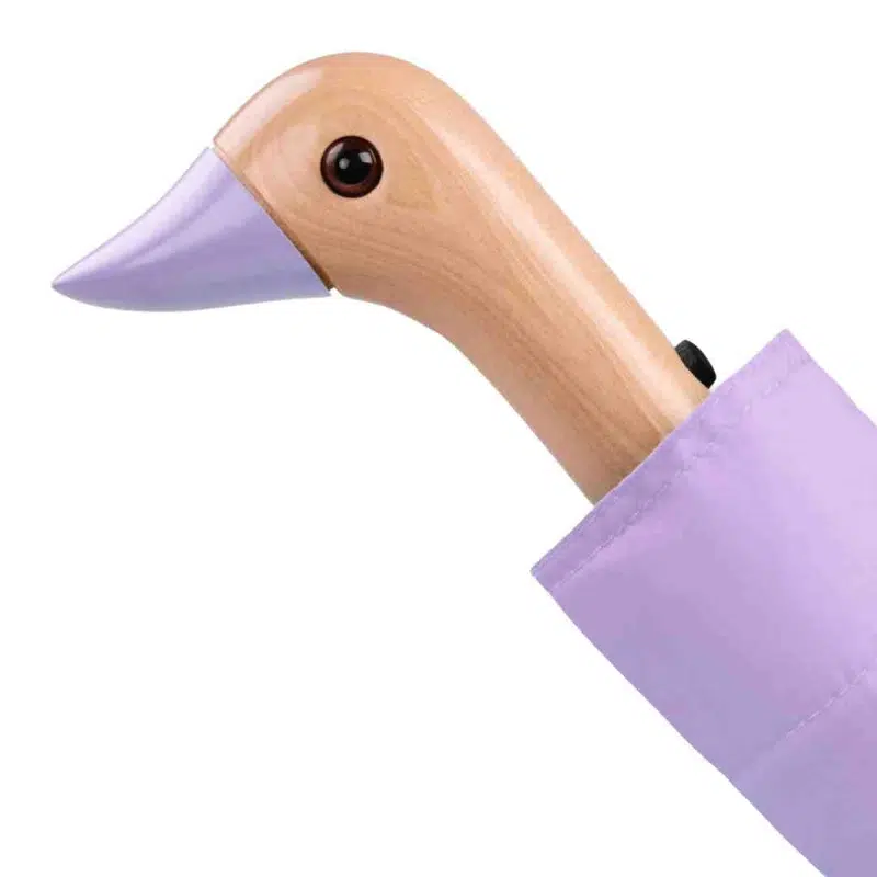 parapluie original duckhead lilas maison volumes lille 4