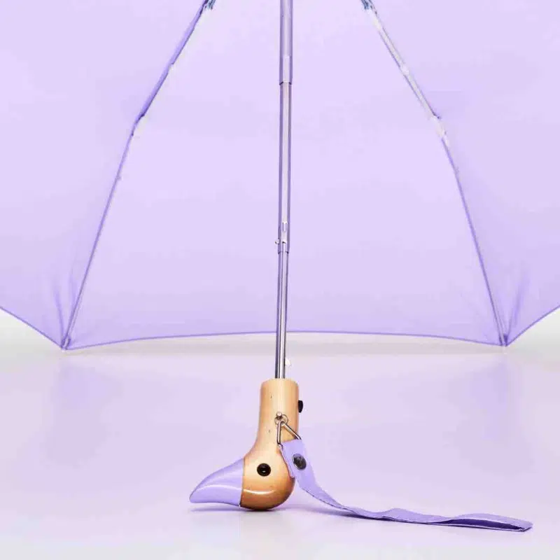 parapluie original duckhead lilas maison volumes lille 5