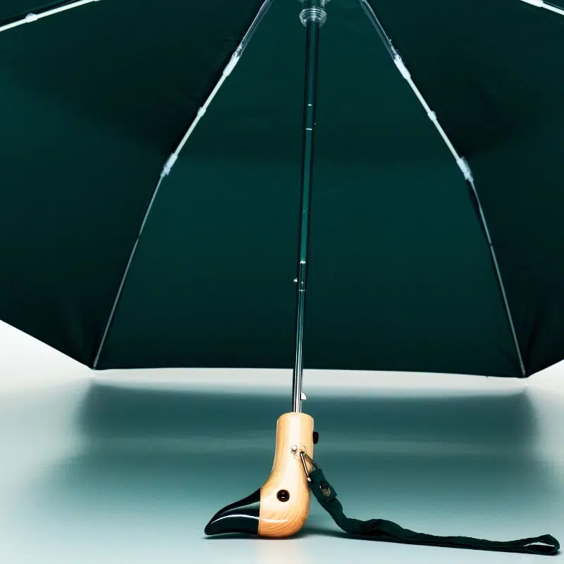 parapluie original duckhead vert bouteille maison volumes lille 4
