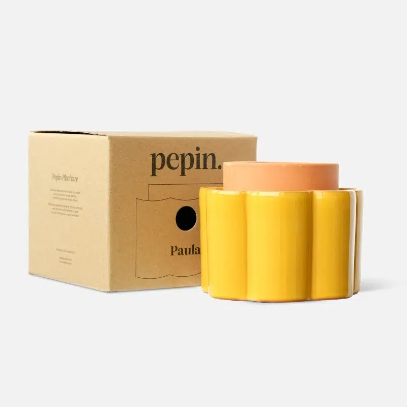 paula jaune pepin maison volumes lille 3