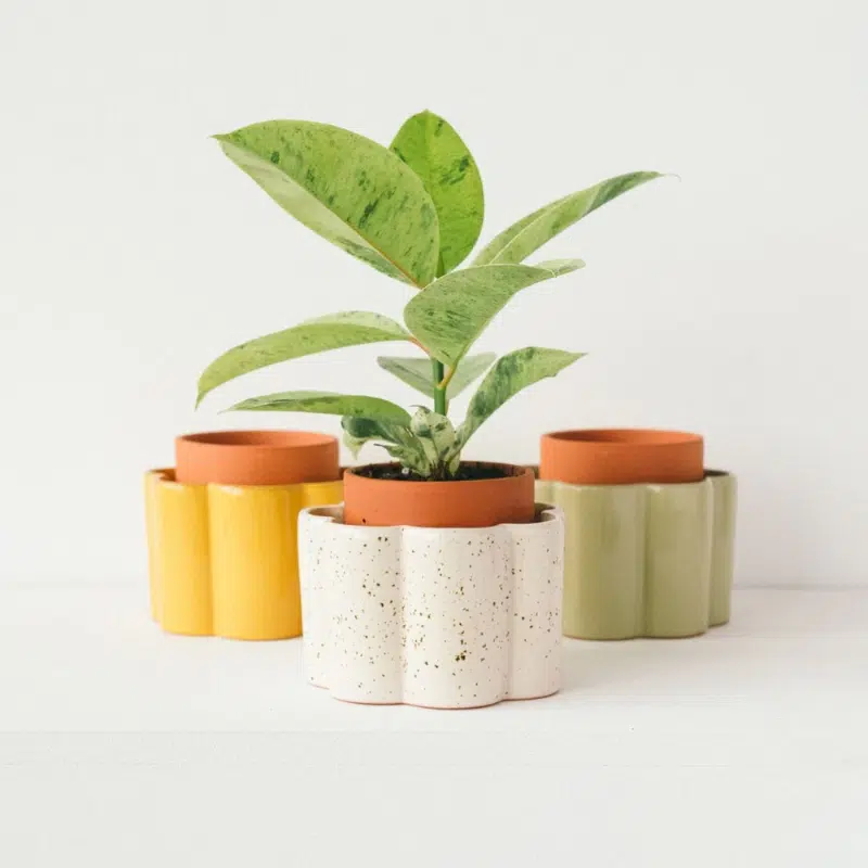paula pepin maison volumes lille 3