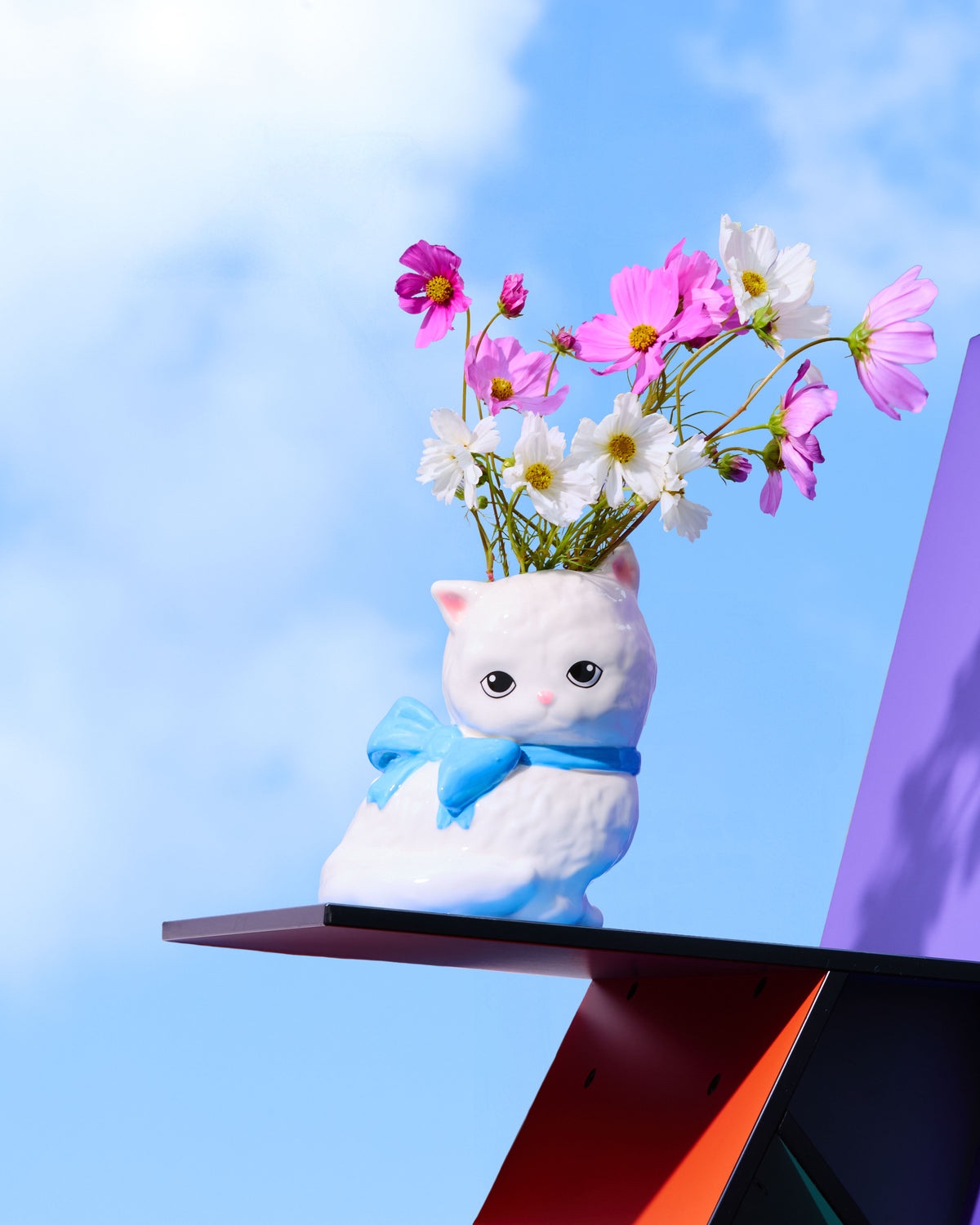 vase cat