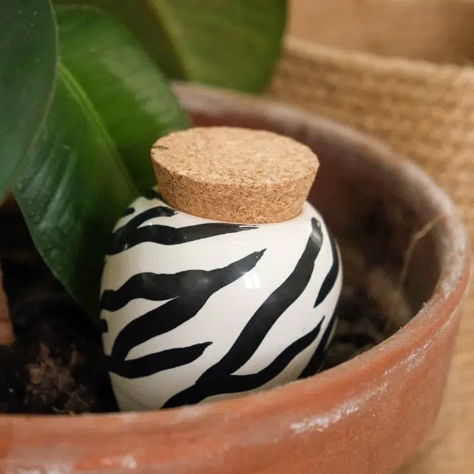 diffuseur d’eau olla hydratante zebre