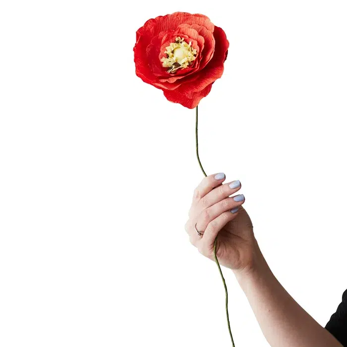 fleur papier coquelicot glace rouge vif studio about maison volumes lille 14