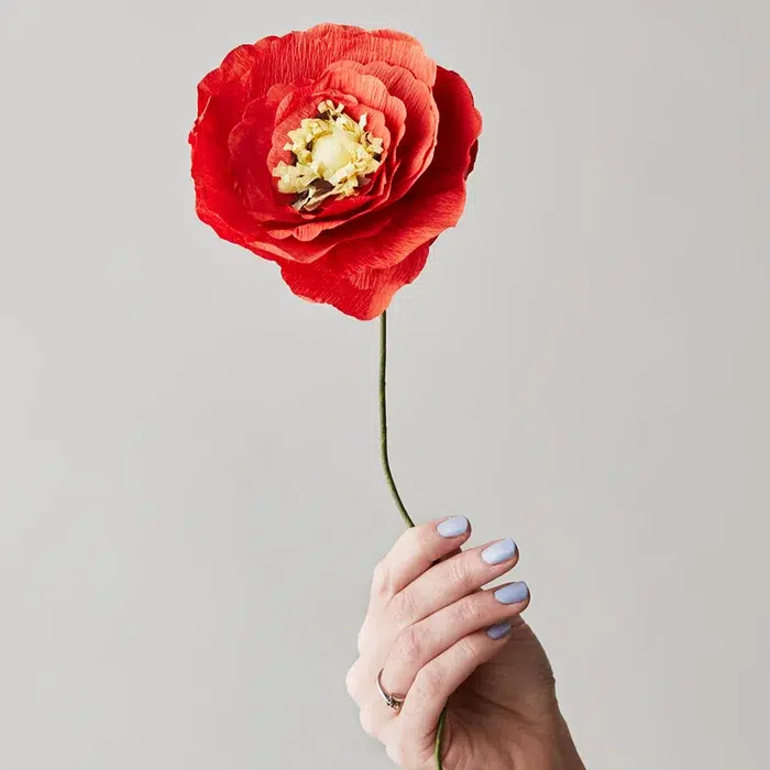 fleur papier coquelicot glace rouge vif studio about maison volumes lille