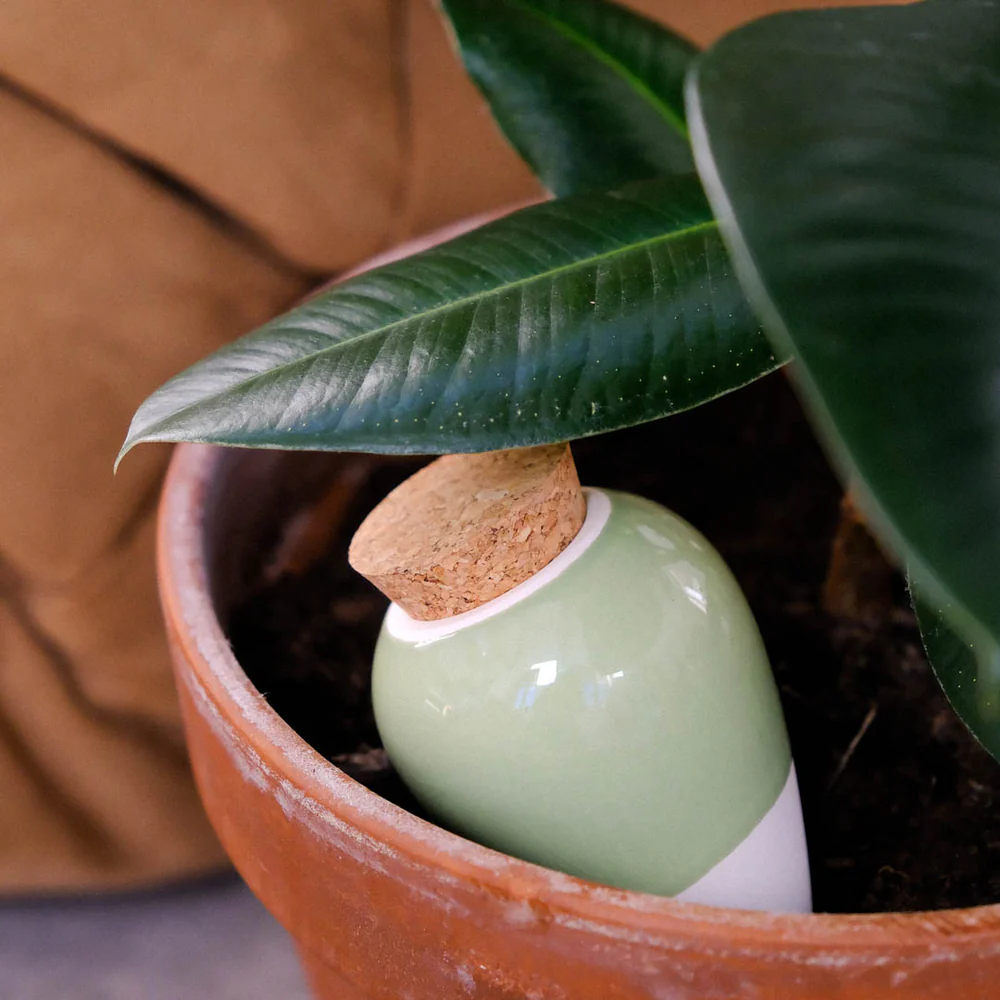 diffuseur d’eau olla hydratante raye vert et vert