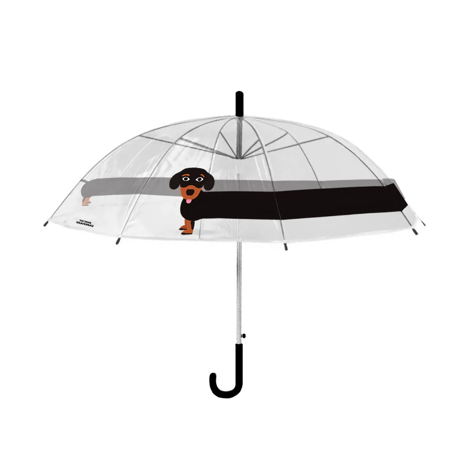 parapluie teckel illustration originale