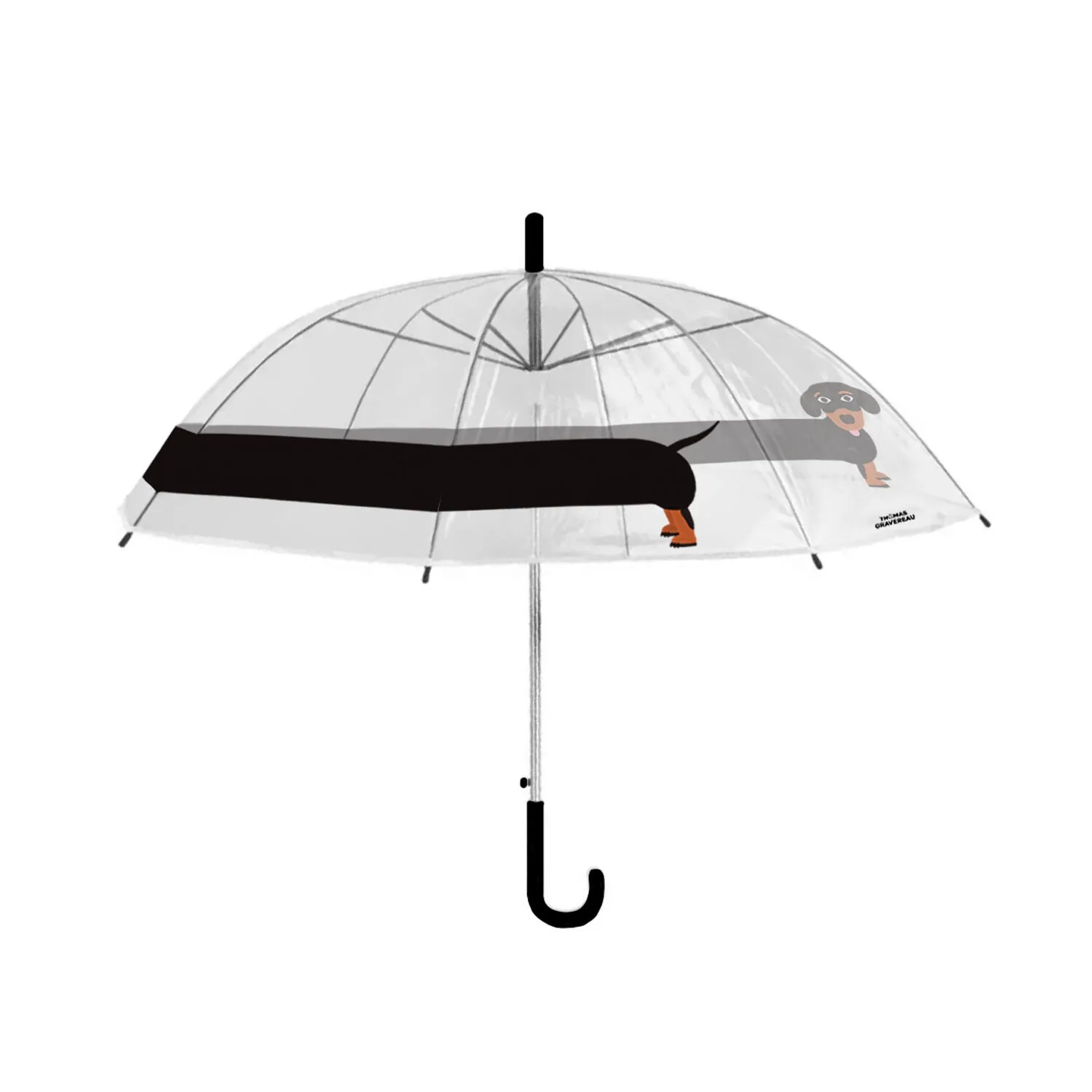 parapluie teckel illustration originale